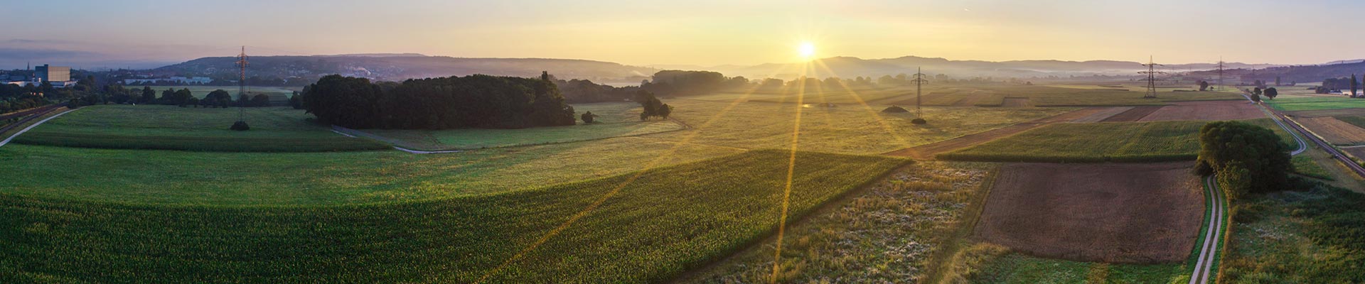 Grüne Landschaft bei Sonnenaufgang