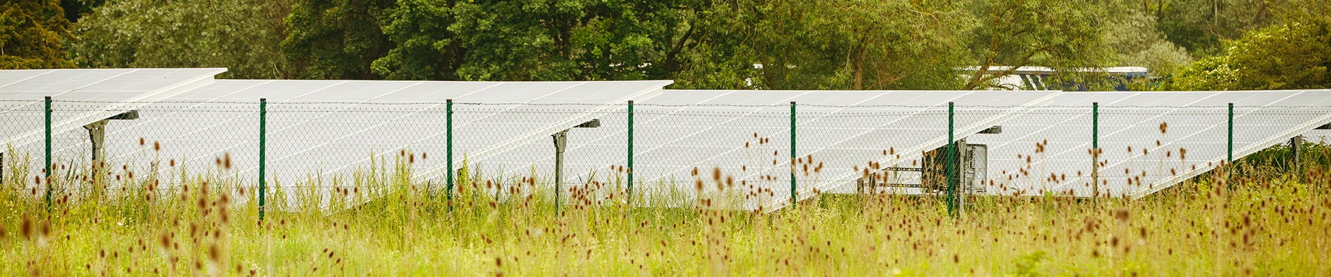 PV-Anlage auf einer grünen Wiese